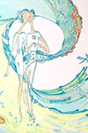  29